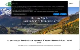 Boscocommerciale.it Screenshot 2024-06-14 13:23:14