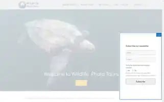 Wildlifephototours.ch Screenshot 2024-04-19 13:12:14