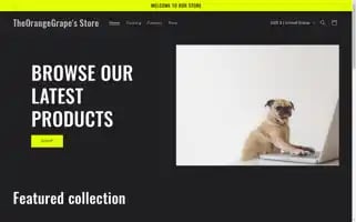 Ttogstore.com Screenshot 2024-05-03 20:27:04