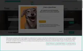 Viajes4patas.com Screenshot 2024-07-03 12:45:58