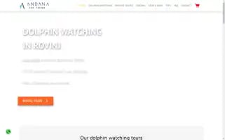 Andanaseatours.com Screenshot 2024-04-23 03:04:24