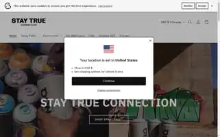 Staytrueconnection.com Screenshot 2024-05-03 22:34:48