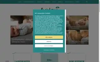 Es-sind-zwei.de Screenshot 2024-07-04 11:23:05