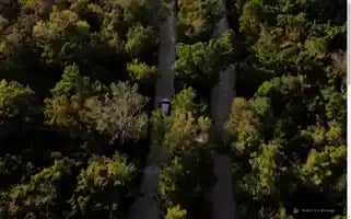 Junglelodgeboutiquehotel.com Screenshot 2024-04-14 09:44:13