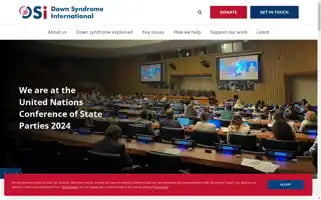 Ds-int.org Screenshot 2024-07-02 20:22:01