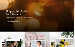 Apricotbranding.com Screenshot 2024-06-13 00:32:51