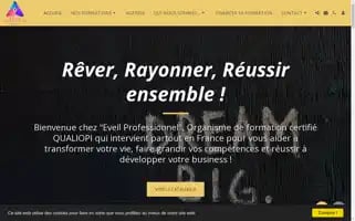 Eveil-professionnel.com Screenshot 2024-06-27 08:08:38