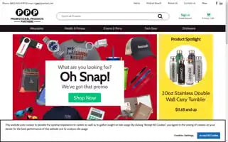 Pppartners.net Screenshot 2024-05-16 13:20:43