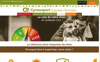 Cynoexpert.fr Screenshot 2024-06-18 04:56:36