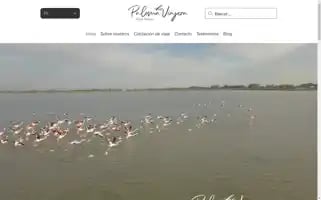 Palomaviajeratravel.com Screenshot 2024-04-26 20:27:10