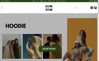 Hoodiestudios.store Screenshot 2024-05-29 13:00:38