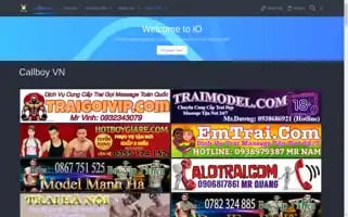 Callboyvn.com Screenshot 2024-06-18 19:01:26