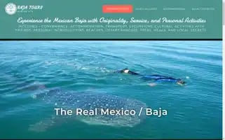Bajatoursmexico.com Screenshot 2024-04-24 03:21:17