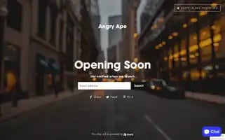 Angryape.store Screenshot 2024-05-02 03:59:49