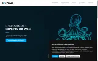 Nwb.fr Screenshot 2024-06-15 03:50:53