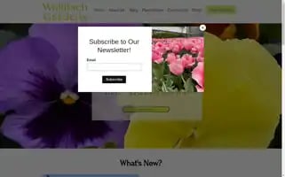Wallitsch.net Screenshot 2024-05-14 23:31:03