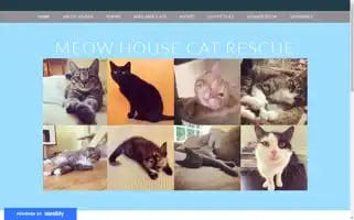 Meowhousecatrescue.com Screenshot 2024-07-06 11:51:25