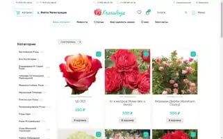 Krasaroza.ru Screenshot 2024-05-24 23:36:01