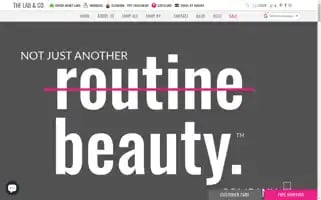 Thelabandcompany.com Screenshot 2024-05-05 16:54:41