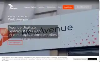 Webavenue.agency Screenshot 2024-06-28 13:36:41