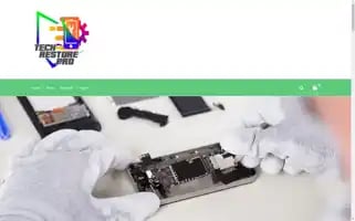 Techrestorepro.com Screenshot 2024-05-26 18:50:25
