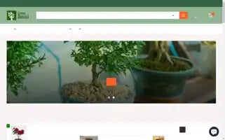 Green-bonsai.com Screenshot 2024-05-05 12:58:39