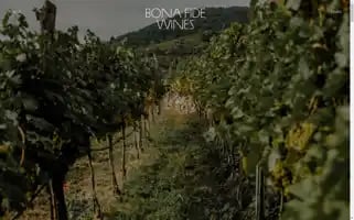 Bonafidewines.no Screenshot 2024-07-03 16:51:22
