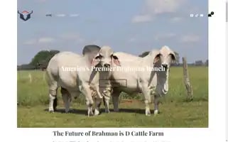 Dcattlefarm.com Screenshot 2024-05-27 12:40:34