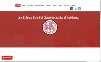 Sicklecellmidwest.org Screenshot 2024-06-17 11:57:18