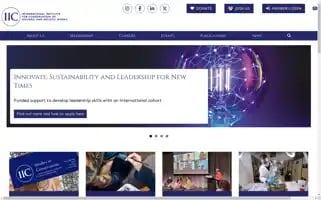 Iiconservation.org Screenshot 2024-06-30 03:59:34