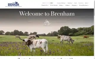 Visitbrenhamtexas.com Screenshot 2024-05-14 22:11:10