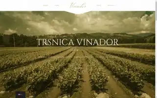 Vinador-vines.com Screenshot 2024-05-28 20:27:18