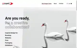 Redsnapperdesign.co.uk Screenshot 2024-07-03 16:07:20