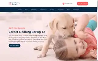 Carpetcleaningspringtx.com Screenshot 2024-07-05 17:53:27