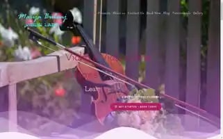 Violinstorytelling.com Screenshot 2024-06-18 02:47:19