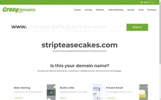 Stripteasecakes.com Screenshot 2024-04-17 07:42:22