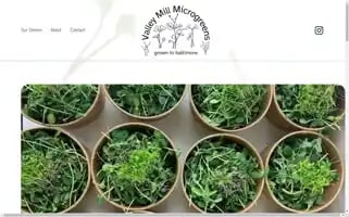 Valleymillmicrogreens.com Screenshot 2024-04-18 07:45:28