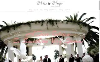 Whitewings.kiwi Screenshot 2024-06-28 04:29:20
