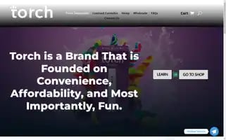 Torchdisposable.org Screenshot 2024-06-17 13:42:50