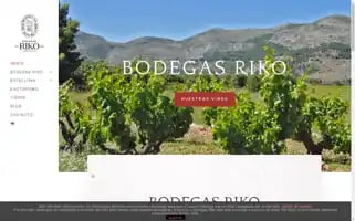 Bodegasriko.com Screenshot 2024-05-17 05:00:16