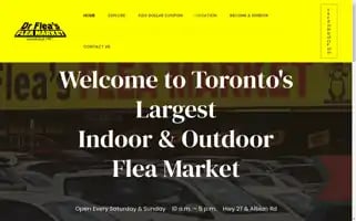 Drfleas.com Screenshot 2024-05-15 20:31:25