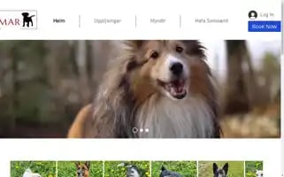 Hundahotel.com Screenshot 2024-04-17 06:37:44
