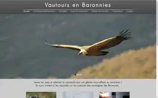 Vautoursenbaronnies.com Screenshot 2024-04-16 11:54:12
