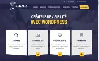 Seomix.fr Screenshot 2024-06-28 21:32:21