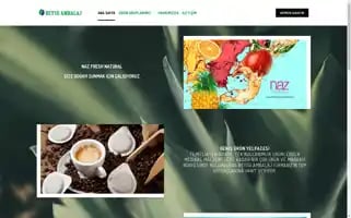 Beysuambalaj.com Screenshot 2024-06-19 03:32:47