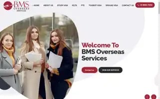 Bmsoverseas.com Screenshot 2024-05-24 13:46:18