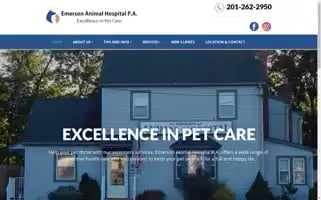 Emersonvet.com Screenshot 2024-05-15 21:13:07