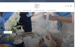 Steepecho.com Screenshot 2024-05-05 01:10:37