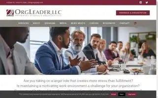 Orgleader.com Screenshot 2024-06-13 22:17:43