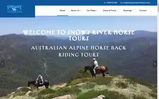 Snowyrivertours.com Screenshot 2024-04-18 07:37:24